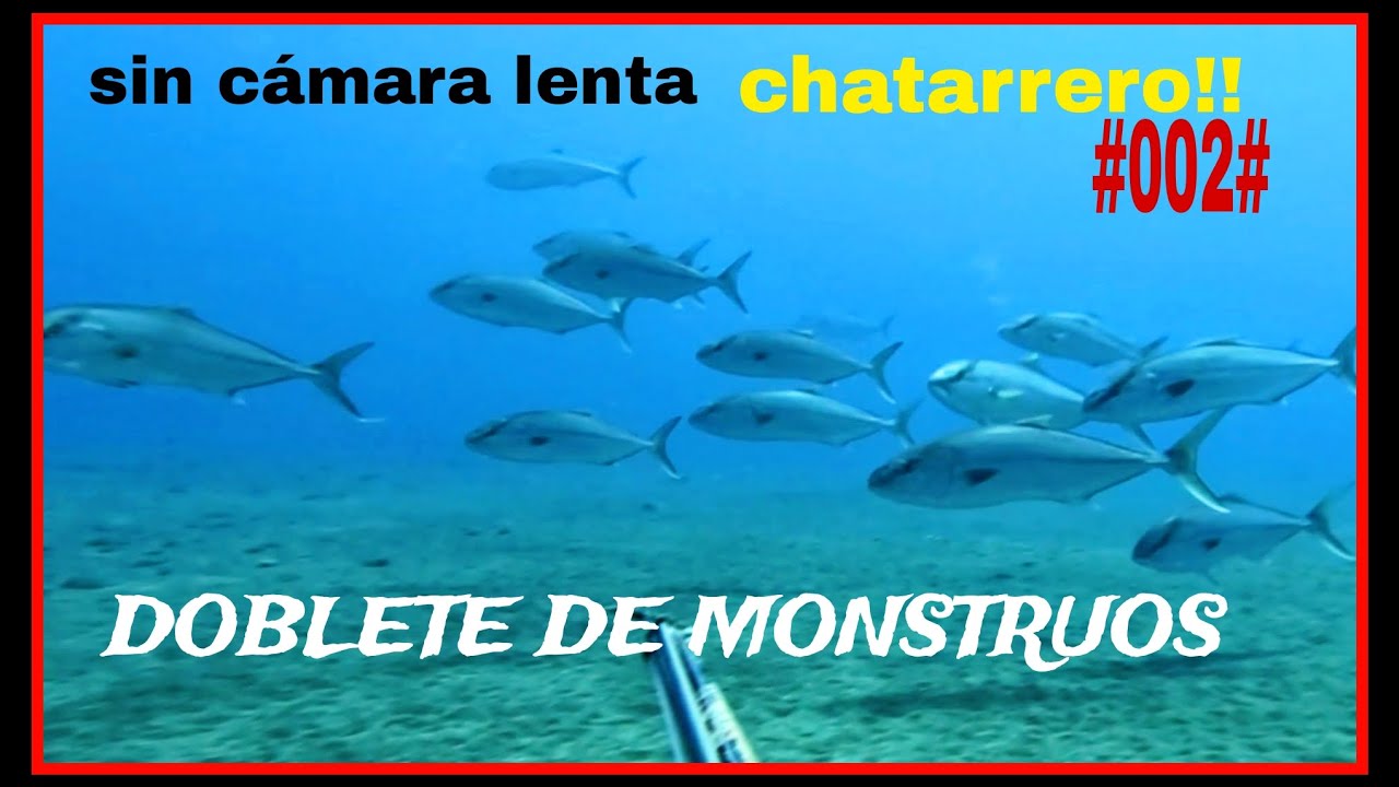 DOBLETE DE MONSTRUOS #002# PESCA SUBMARINA SPEARFISHING GRUPER1007