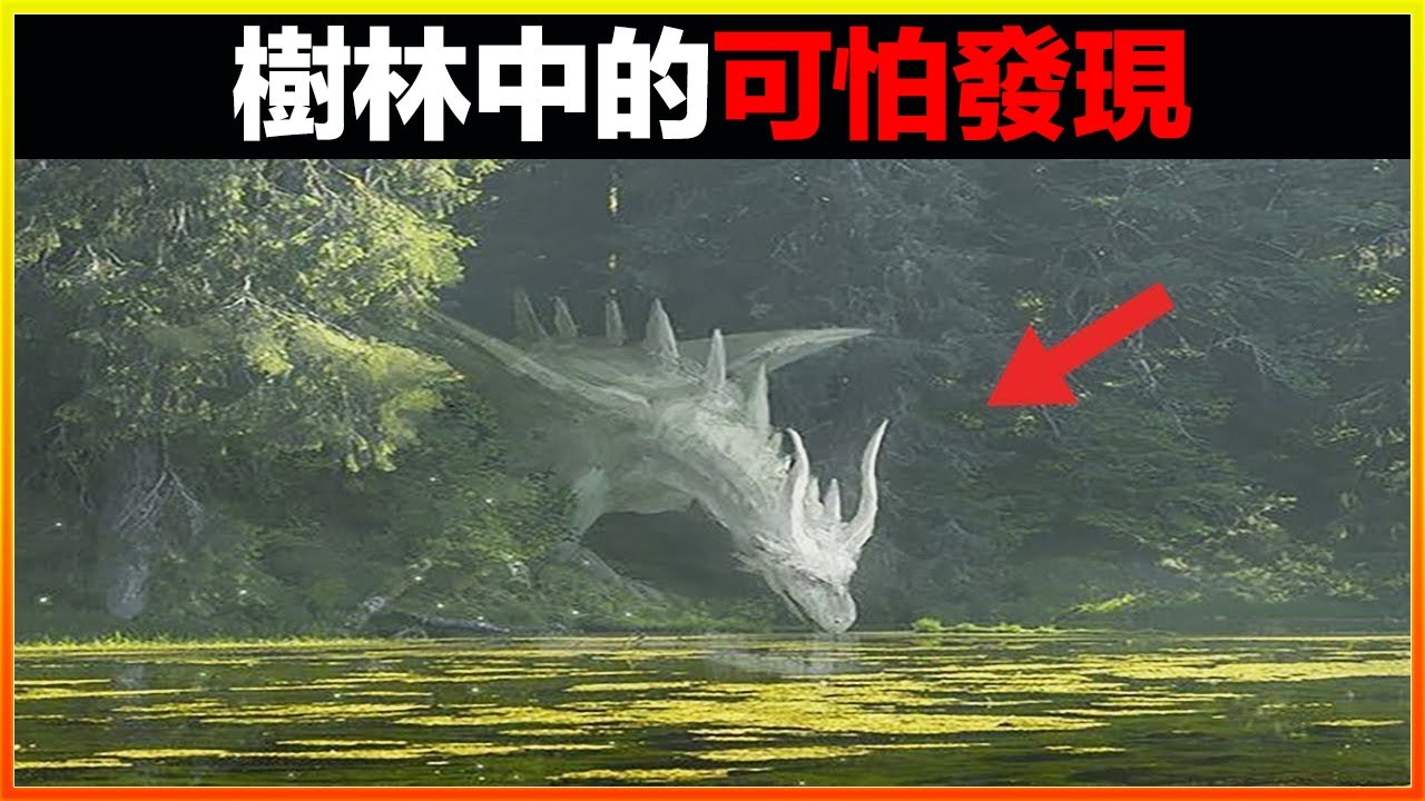 樹林裡發現神秘生物和地下掩體！？15個樹林中的驚人發現，不是親眼所見絕對不敢相信！｜發現｜排名｜世界之最｜地球之最｜獵奇｜睡前故事