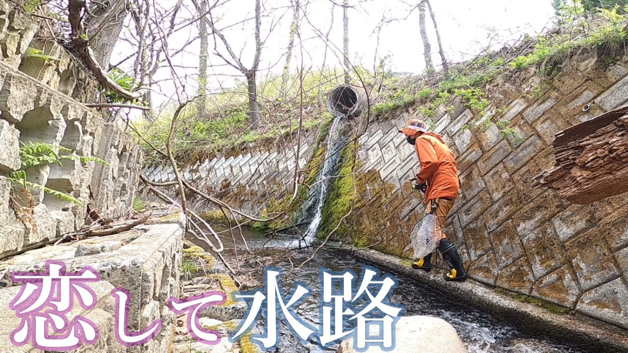【渓流釣り】ヌシとのバトルは突然に