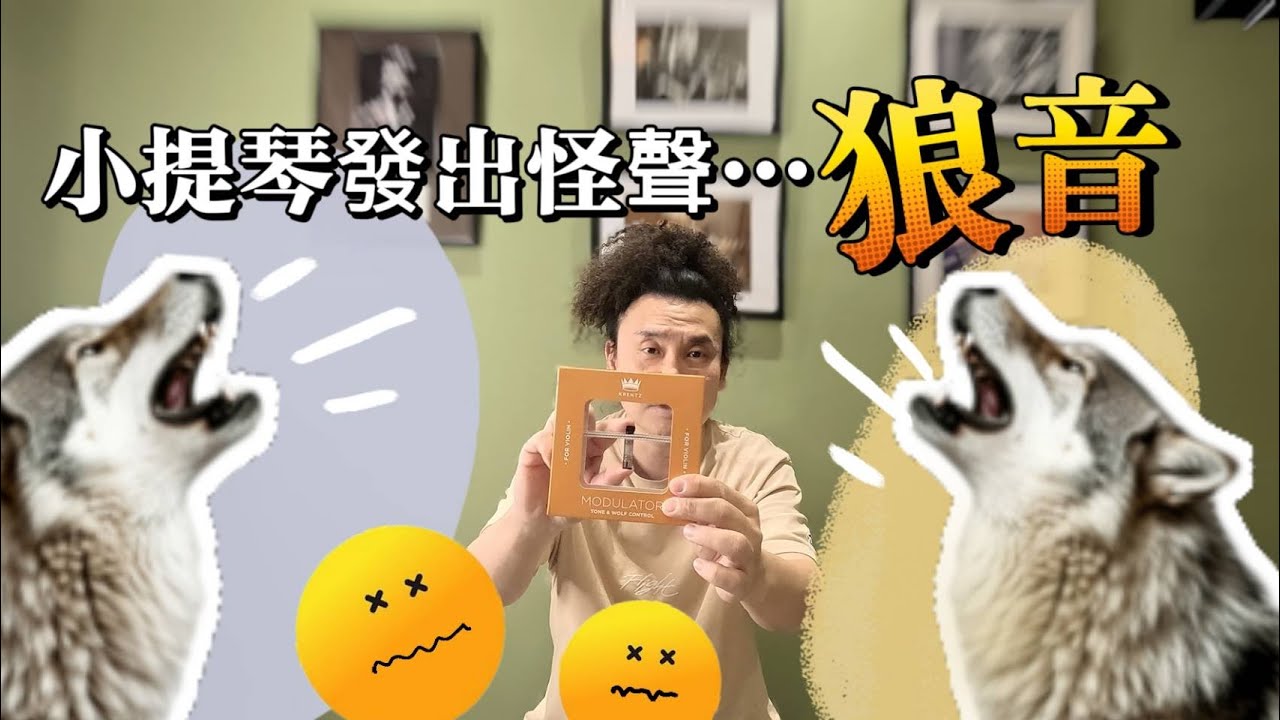 討厭的小提琴聲之狼音如何解決? 狼音器如何使用 小提琴的怪聲