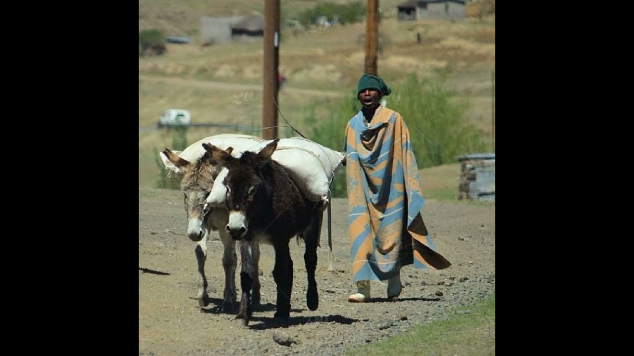 BABINA MALINGOANA NO8 KASOTLEHA MOTLATSI [08 MORENA]