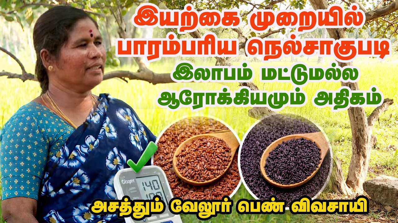 இயற்கை முறையில் பாரம்பரிய நெல்சாகுபடி | Organic Farming | Paddy Cultivation | Malarum Bhoomi