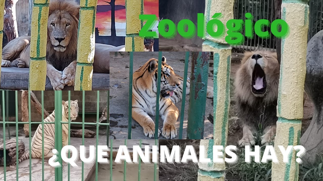 ¿Cómo es un zoológico en NICARAGUA? ll ALE ULATE