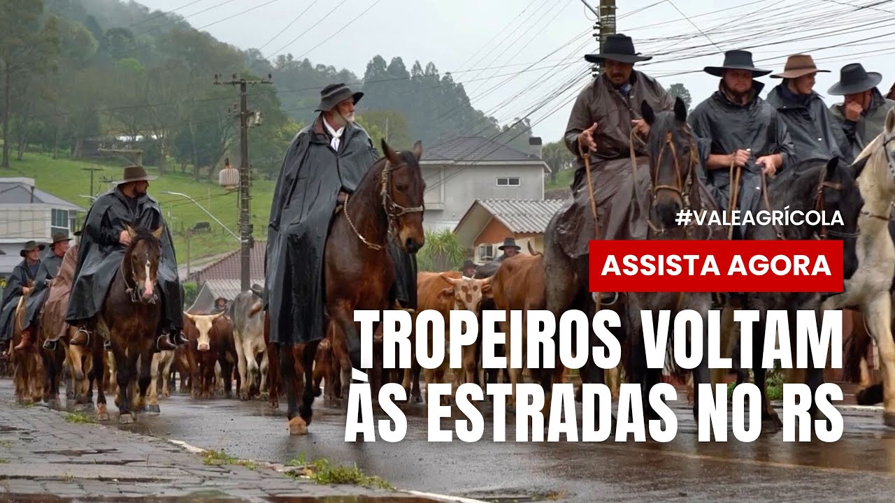 Cavaleiros voltam a estrada para relembrar como era uma tropeada! EMOCIONANTE!