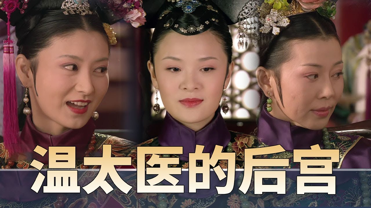 《甄嬛传》原来是温太医的后宫，初恋正宫齐聚，温太医作何感【后宫二三事儿】