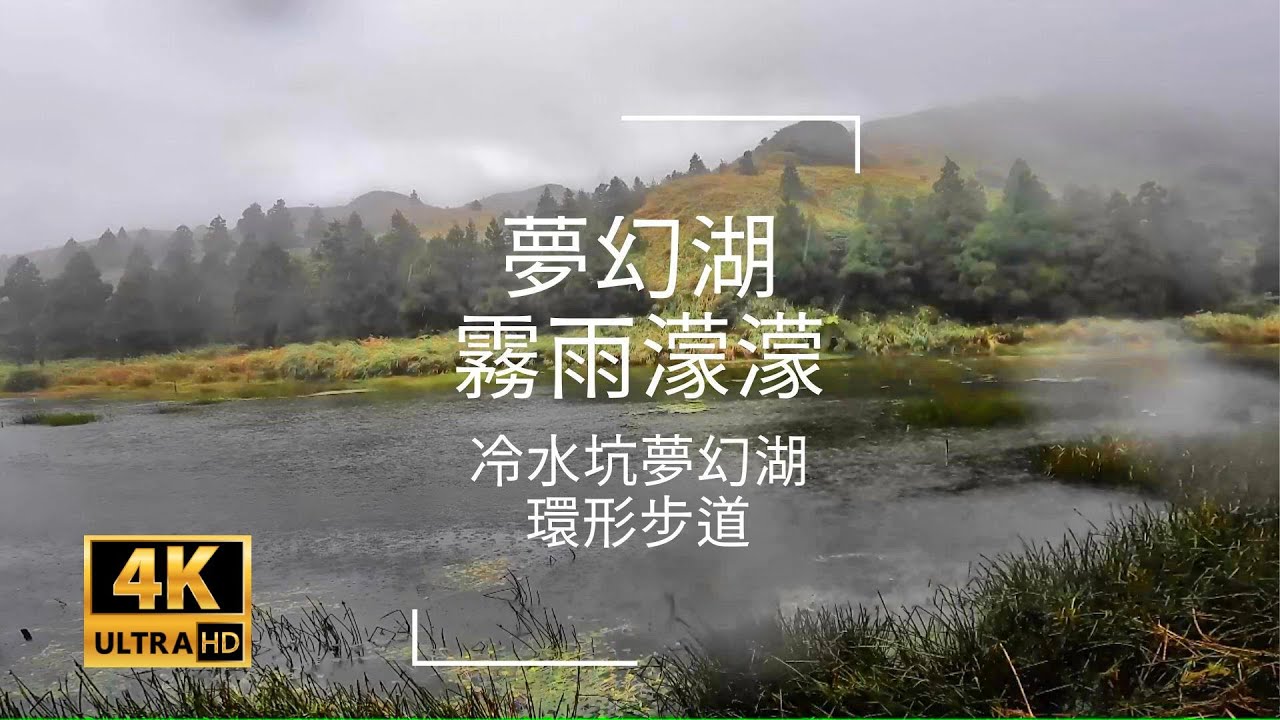 陽明山國家公園-- 冷水坑 夢幻湖環狀步道  白茫茫的芒草.雨濛濛的夢幻湖路線指南 小15公車   Menghuan Pond Ecological Protected Area  4k