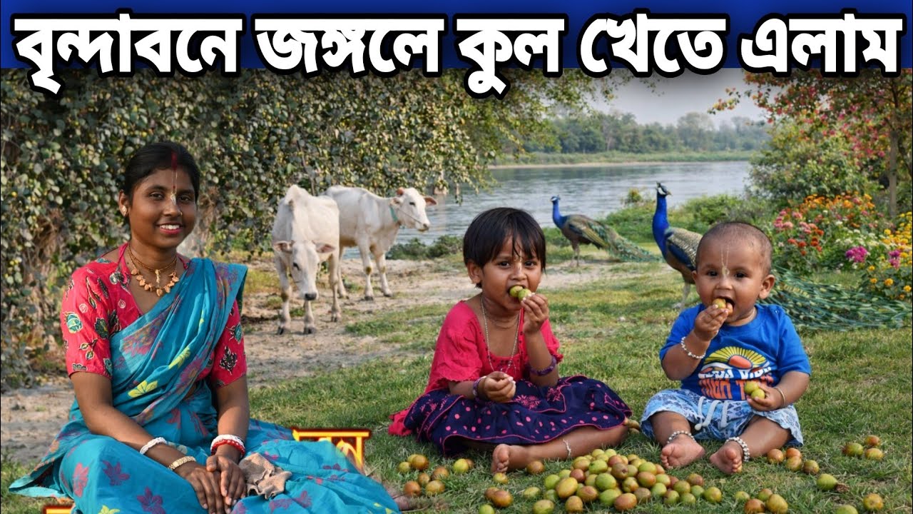 বৃন্দাবনের জঙ্গলে কুল খেতে এলাম  || এত ফল খাওয়ার লোক নেই দেখুন || Vrindavan Dham  