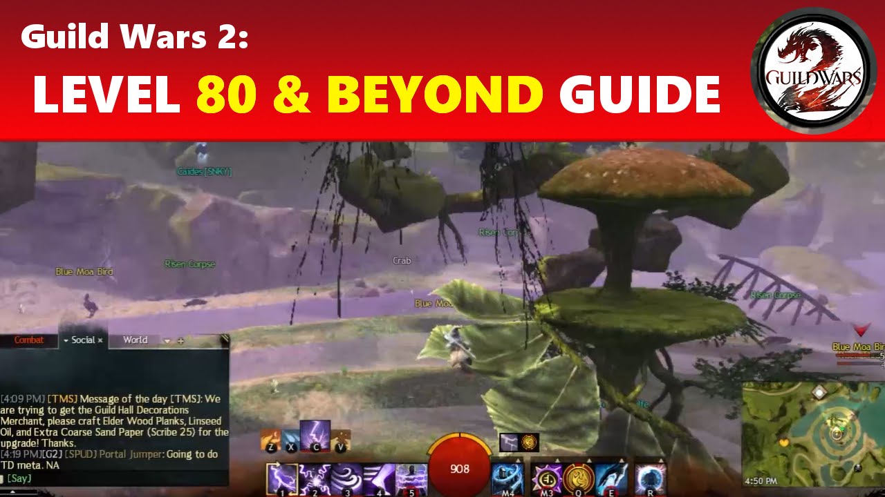 Guild Wars 2: Level 80 & Beyond Guide │ What to Do & Goals to Have