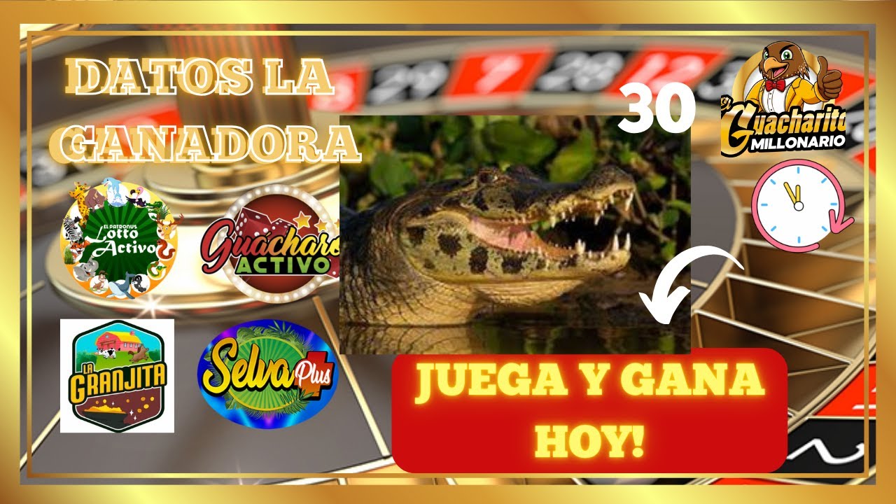 Tus Datos Gratis para hoy Martes 10/02/2026 Lotto activo Granjita  Selva  Gu&aacute;charo   LA GANADORA