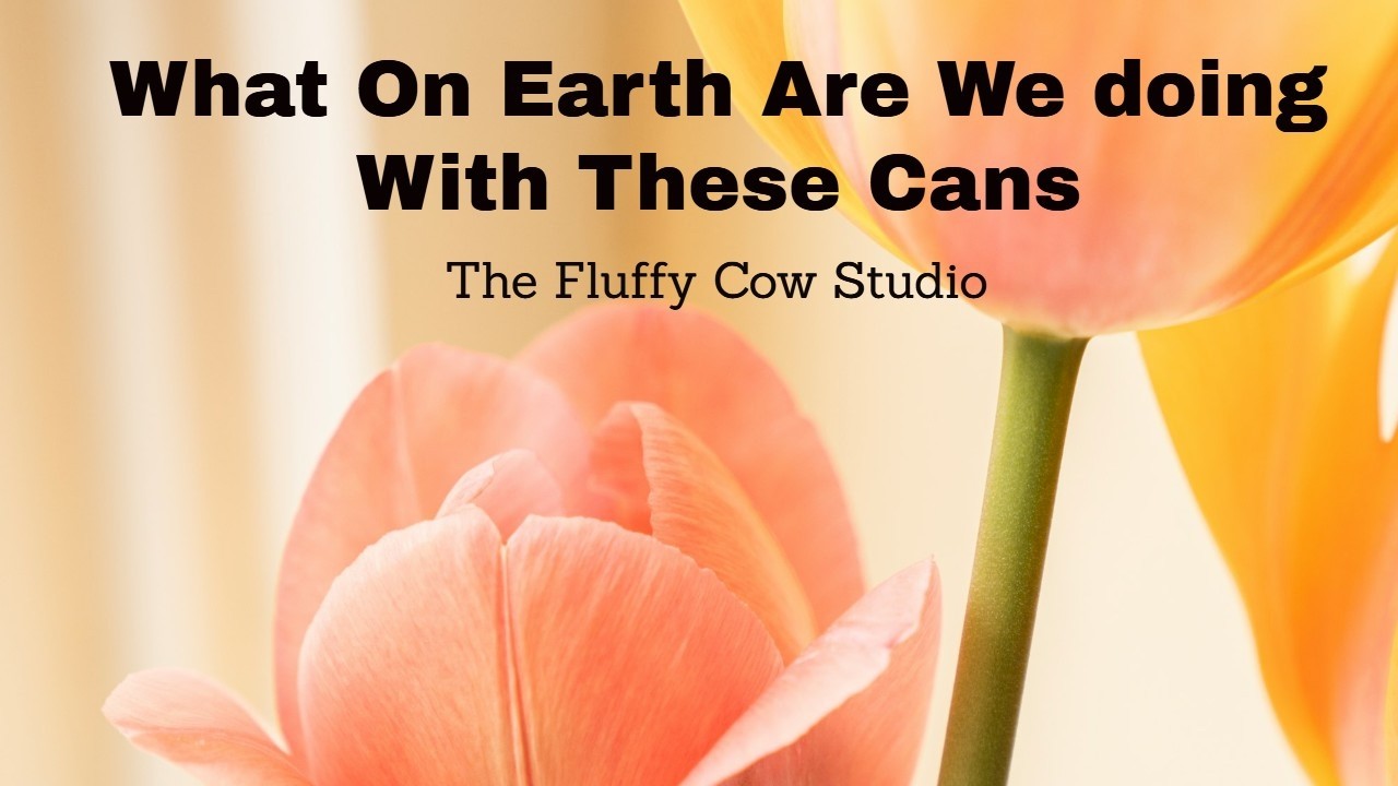 What On Earth Are We Doing With These Cans?