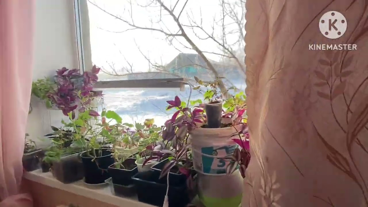 А что у нас сегодня? 15 марта 2026, утро, морозец и охранник на службе!