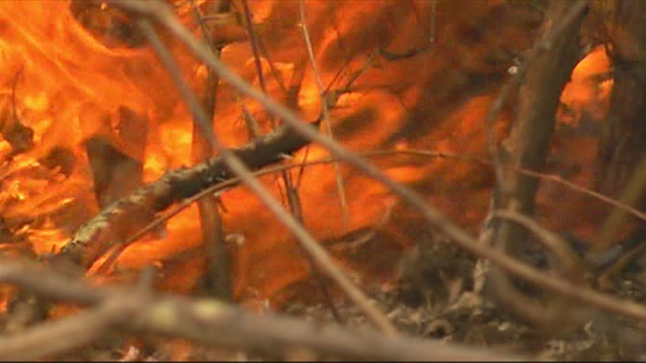 Wildfire burns hundreds of acres