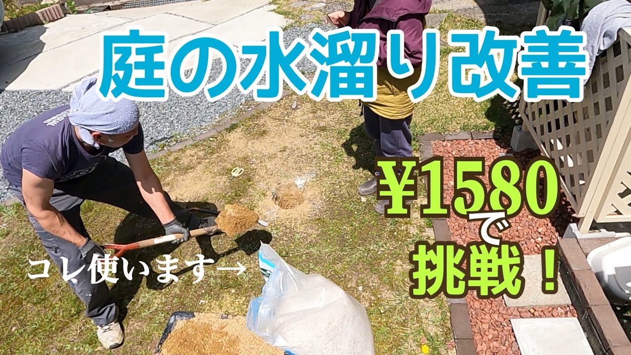 お庭のキクラゲ？除去と水溜りを格安で改善したい！￥1580で縦穴簡易排水に挑戦！[二拠点生活]