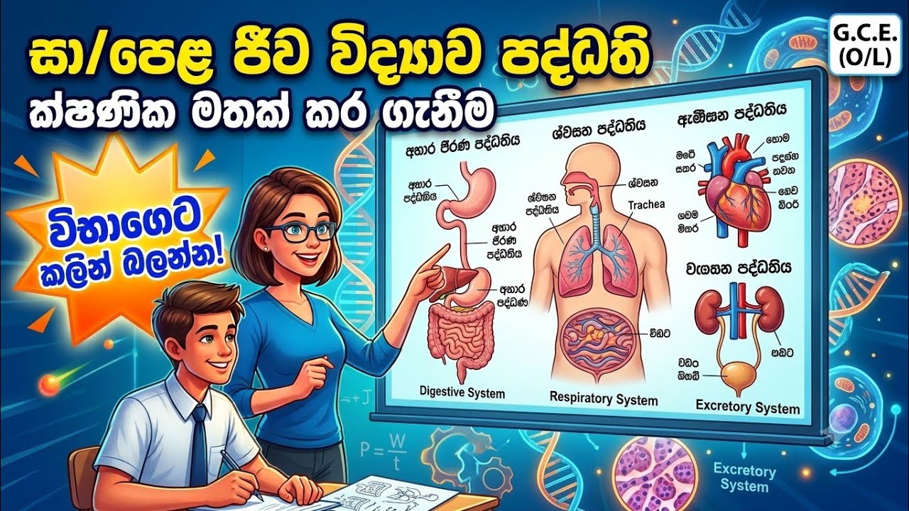 සා/පෙළ විද්‍යාව රචනා ප්‍රශ්න 5 අනුමාන 1 කොටස 2025/2026 O/L guessing Question 5 part 1