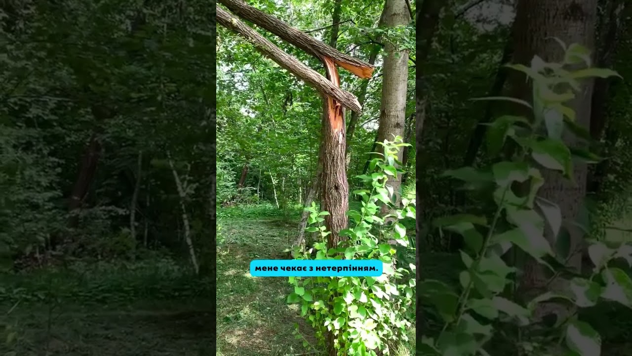 Це завжди однаково називається