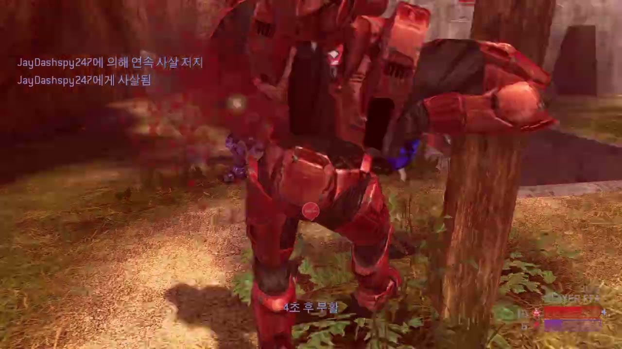 HALO 2 CLASSIC FFA#851