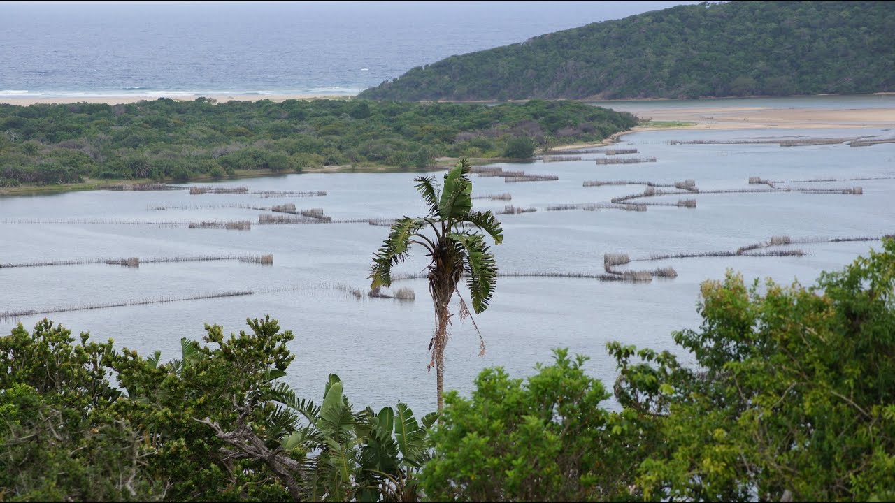Utshwayelo Kosi Bay Mouth Overview