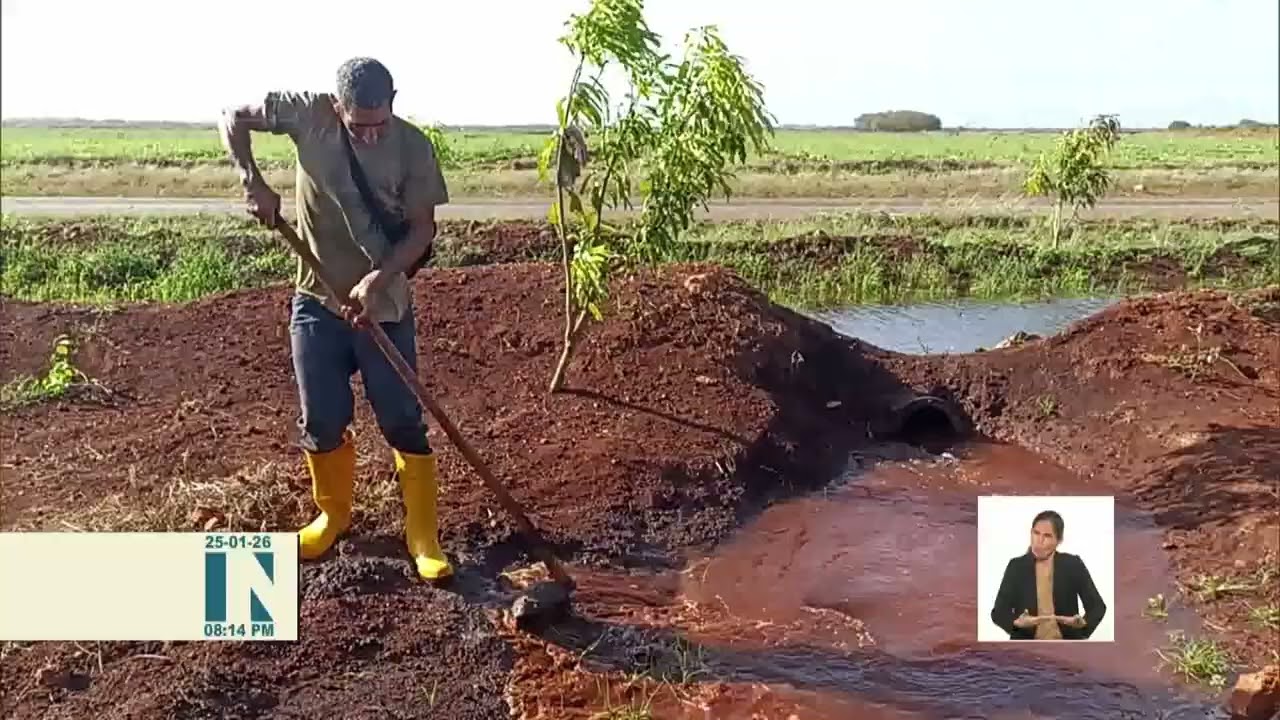 Polo agrícola ¨La Cuba¨ proyecta incrementar producciones
