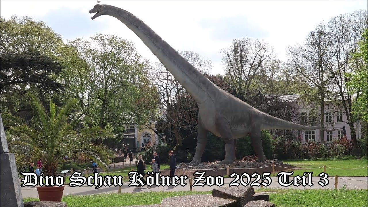 Dino Schau Kölner Zoo Teil 3