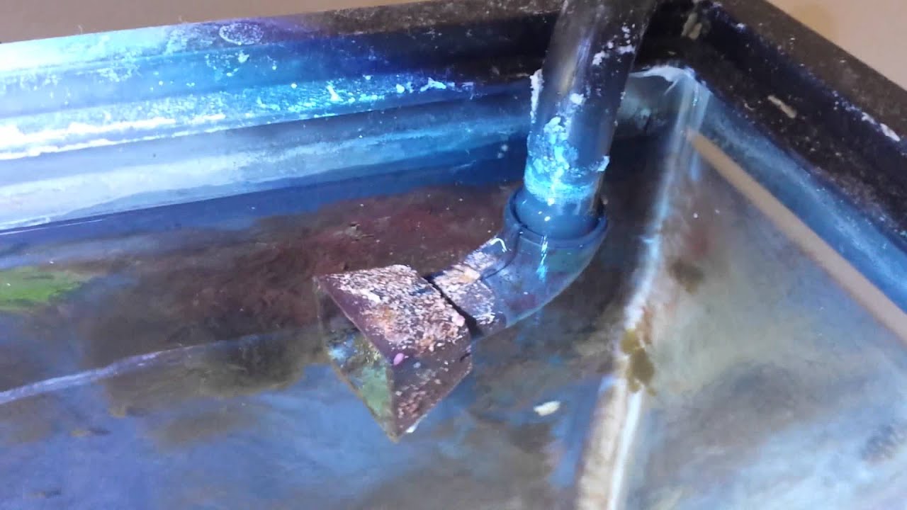 How to prevent your reef tank from flooding your house