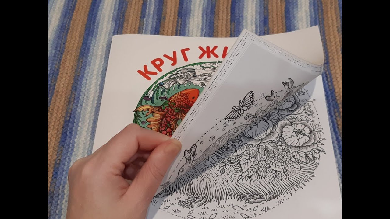 ОТЛИЧНАЯ НОВИНКА Раскраска КРУГ ЖИЗНИ