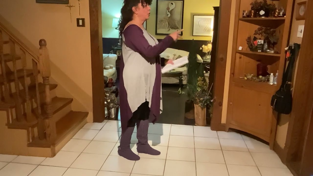 Boogie Orgie Orgie line dance instructional video
