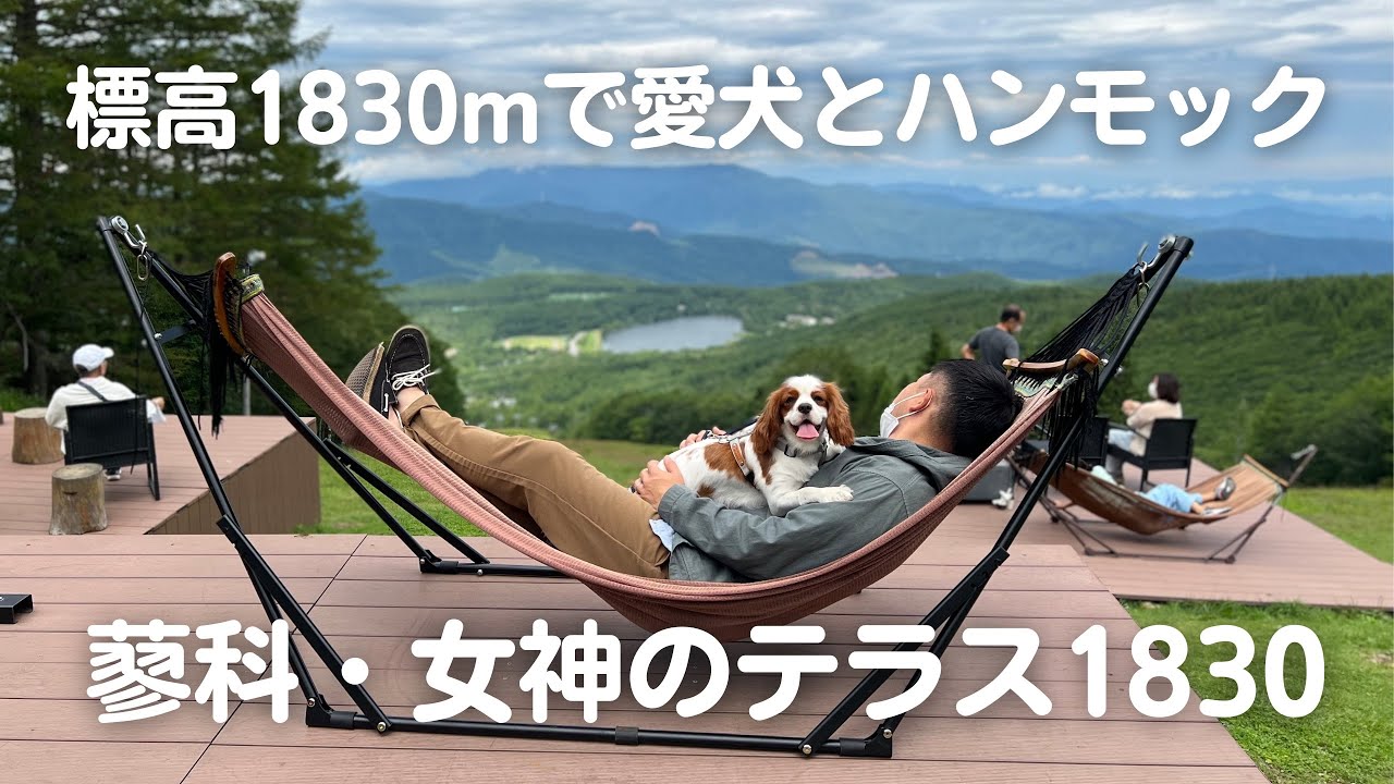 【絶景】愛犬と女神のテラス1830へ！蓼科・白樺湖旅行