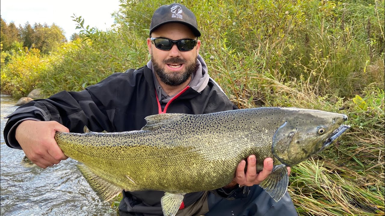 La pêche dans la peau S2E5 Saumon Chinook Ganaraska River Port Hope Ontario