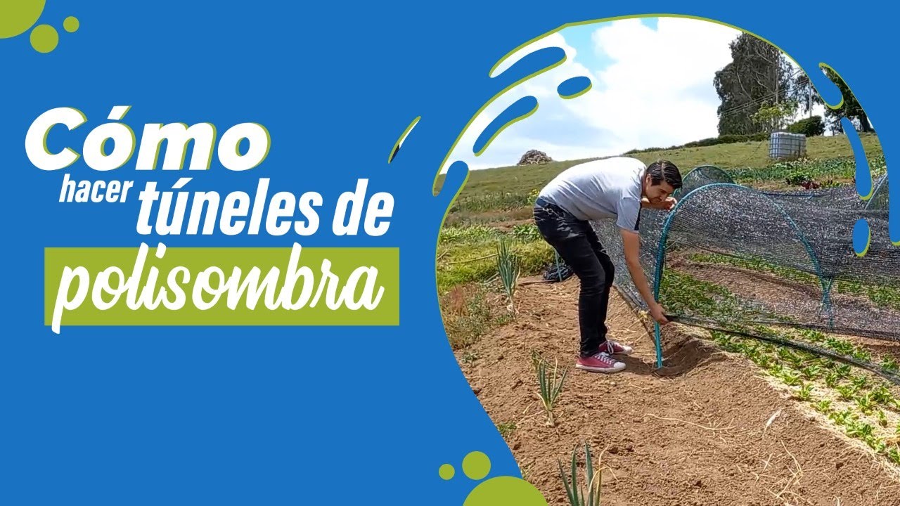 🟢 ¿Cómo hacer Túneles de Polisombra? 🌱 Herramienta INCREIBLE para tu cultivo o huerta  🥬