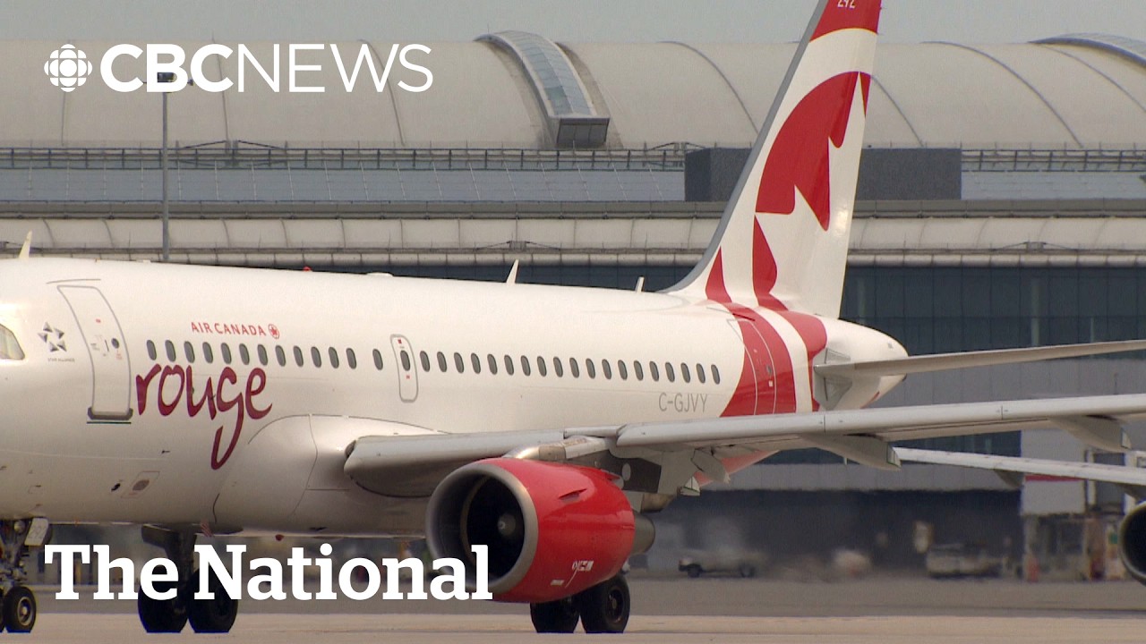 Passengers hear banging, screaming from trapped baggage worker before takeoff