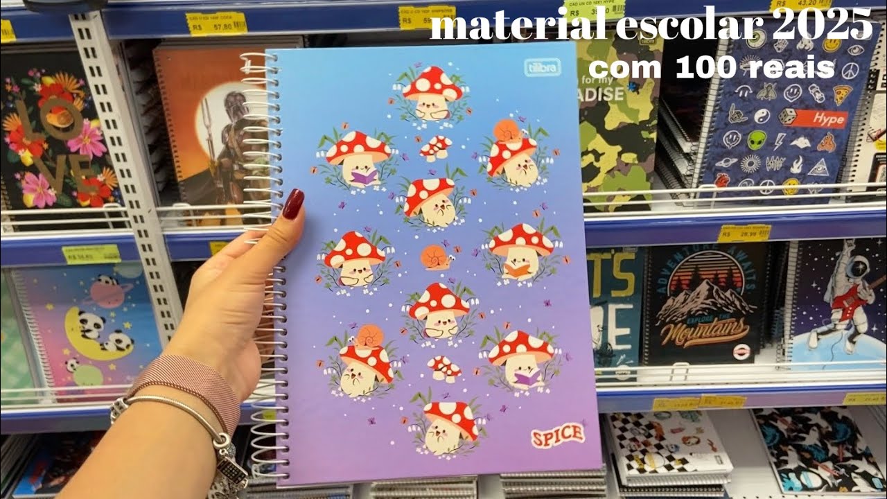 comprando material escolar com 100 reais | volta às aulas 2025 ✨