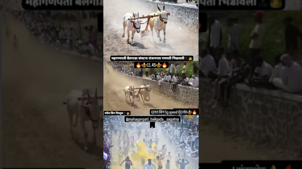 🔥⚜️👑11.46👑⚜️🔥