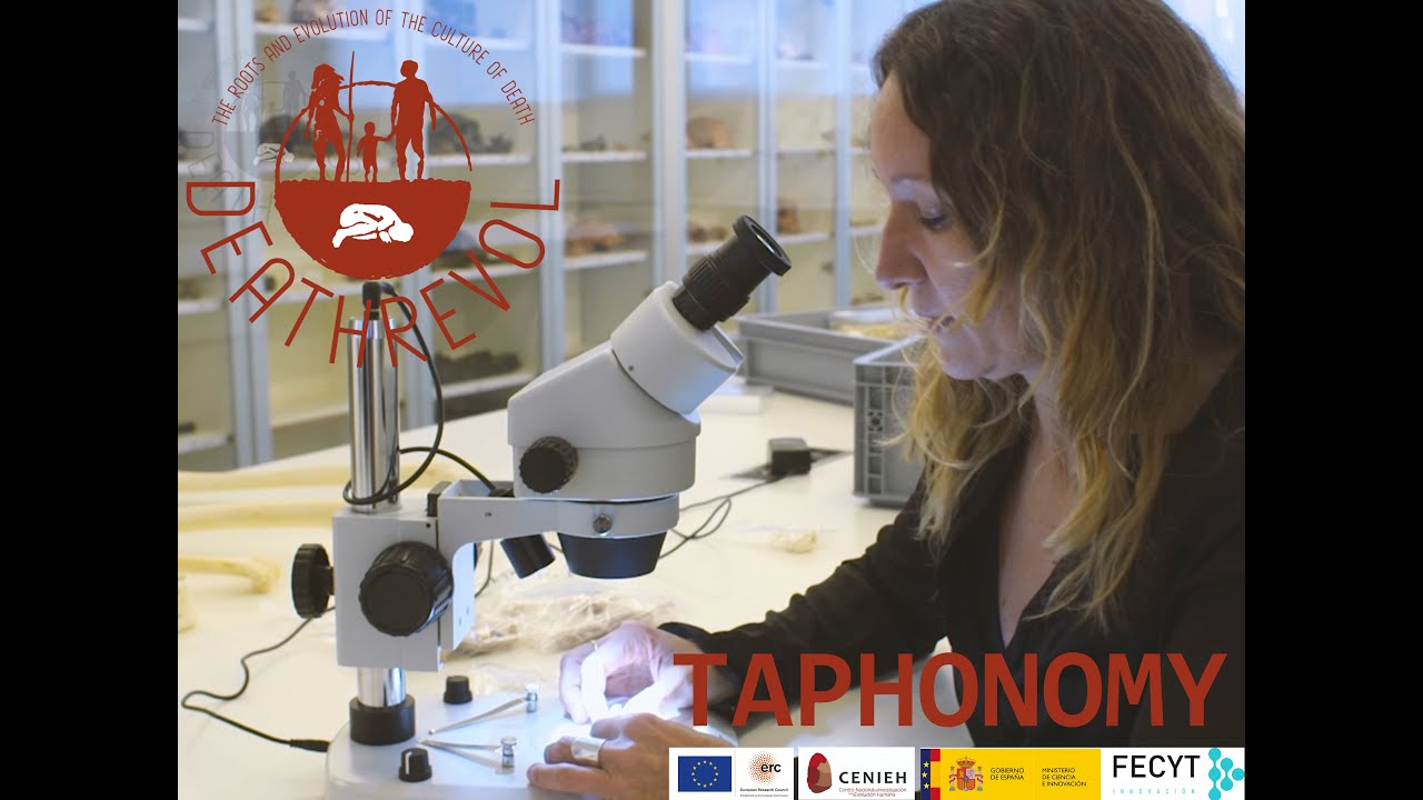 What is taphonomy?