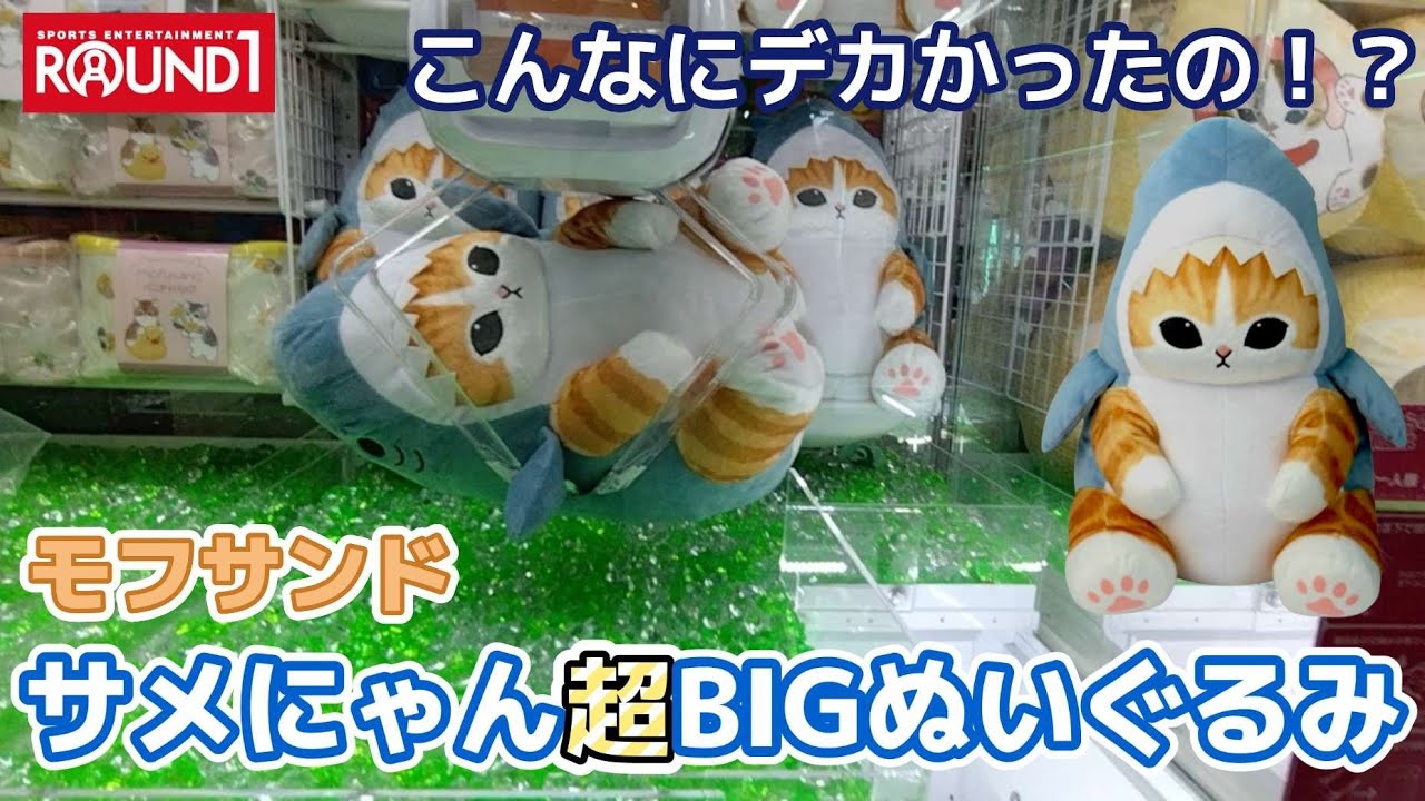 モフサンドサメにゃん超BIGぬいぐるみ☆ これだけデカイのどう攻略する？？【クレーンゲーム】