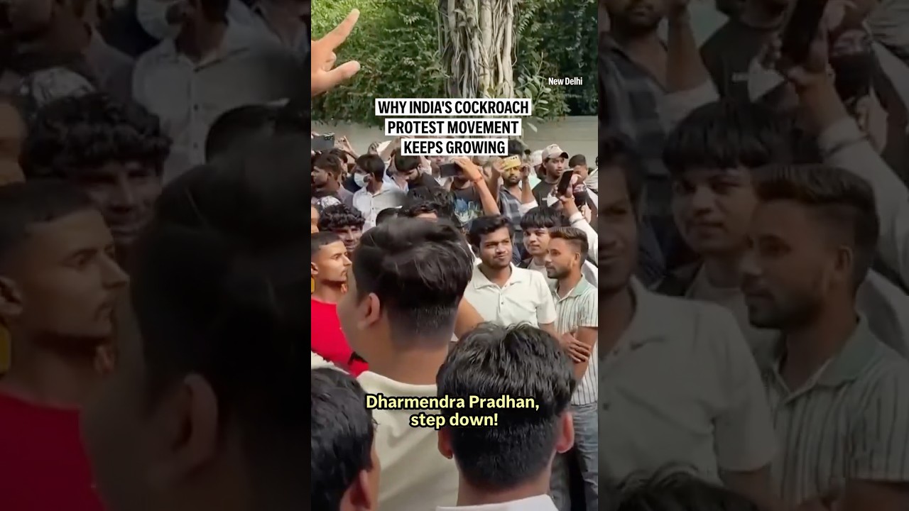 Why India&rsquo;s Cockroach protest movement keeps growing