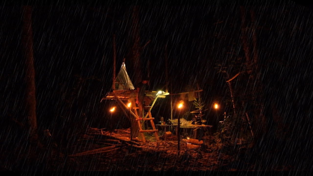 MEMBANGUN RUMAH POHON UNTUK KEHIDUPAN BARU DI TENGAH HUTAN MASAK TUTUT HUTAN EP .1