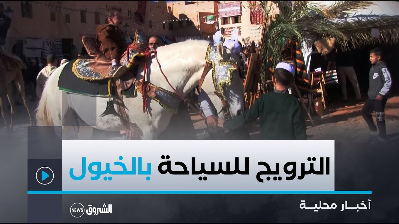 #غرداية| الترويج للسياحة بالخيول وسط السوق العتيق.. مبادرة فريدة تستقطب الزوار