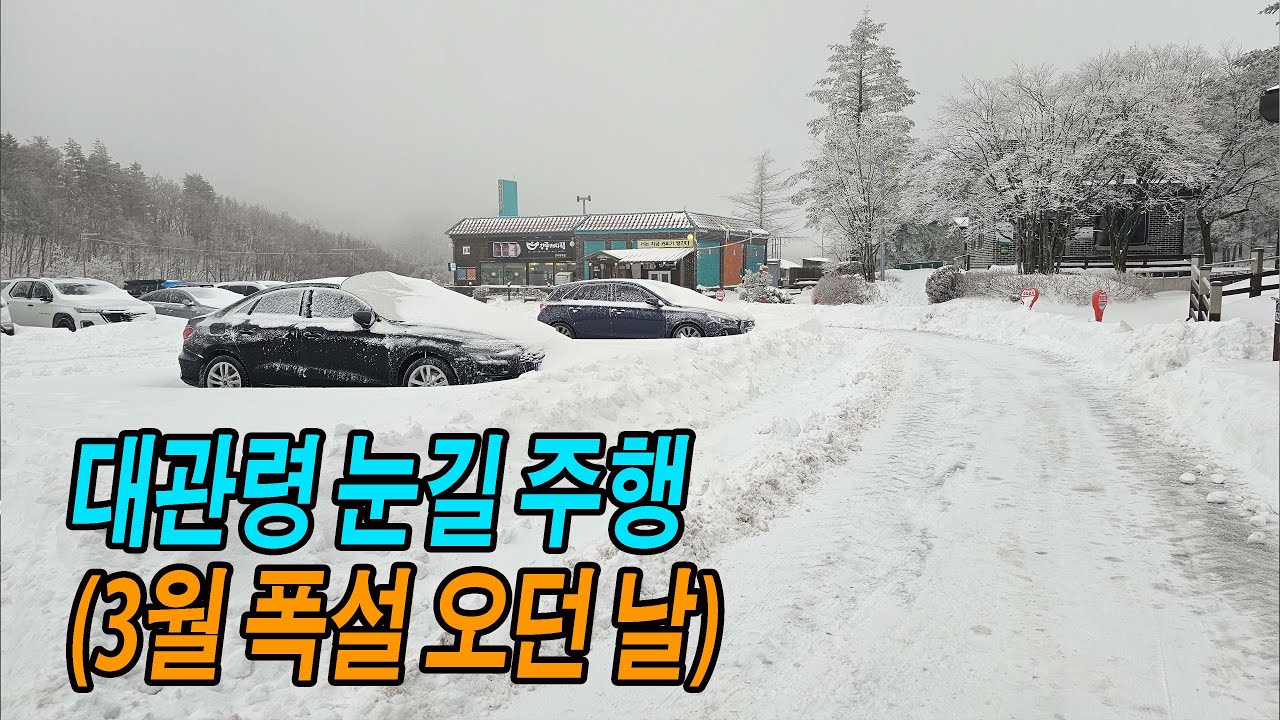3월 폭설 오던 날, 대관령 고개를 달려본다 (스포티지 눈길 운전)