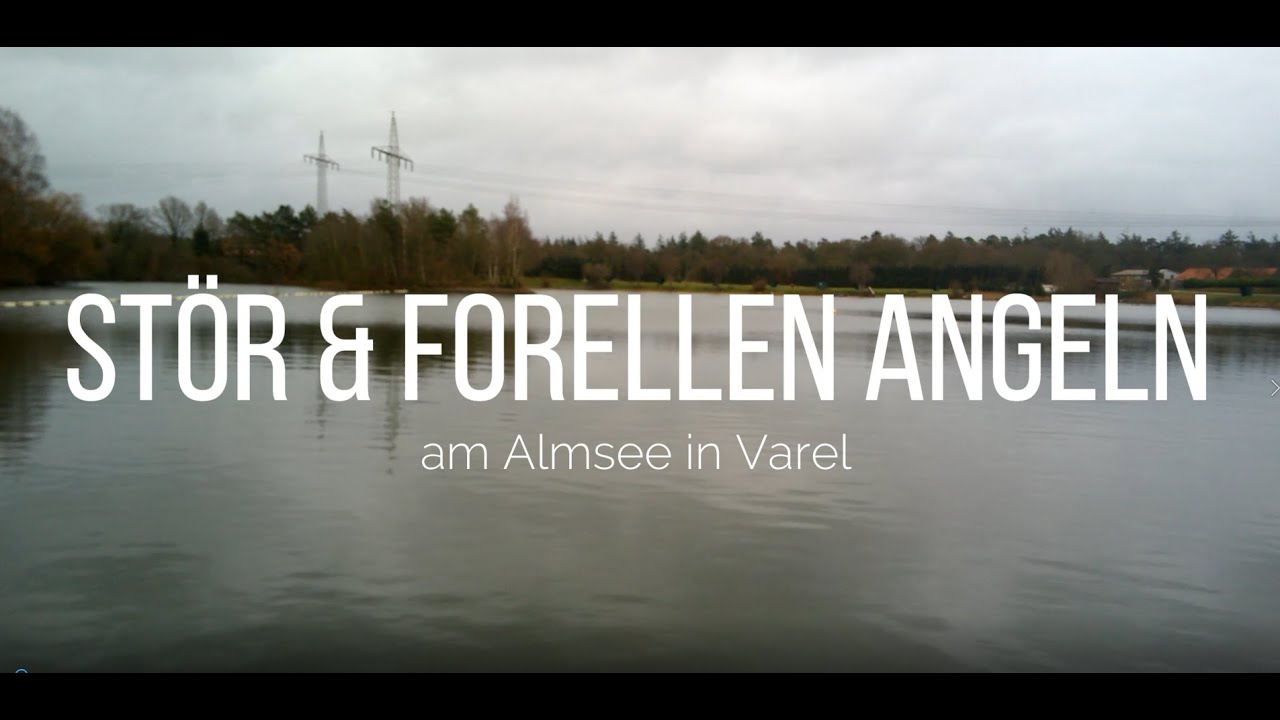 Stör 183cm & Forellen Angeln am Almsee in Varel (Januar 2020)