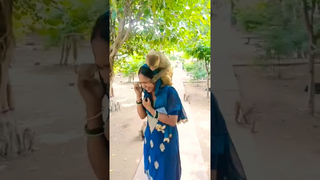 gahvarvan barsana ke bandar🥰💞🙏#love#barsana#radheradhe#shorts#viralvideo#song#youtubeshorts#🥰🥰🙏