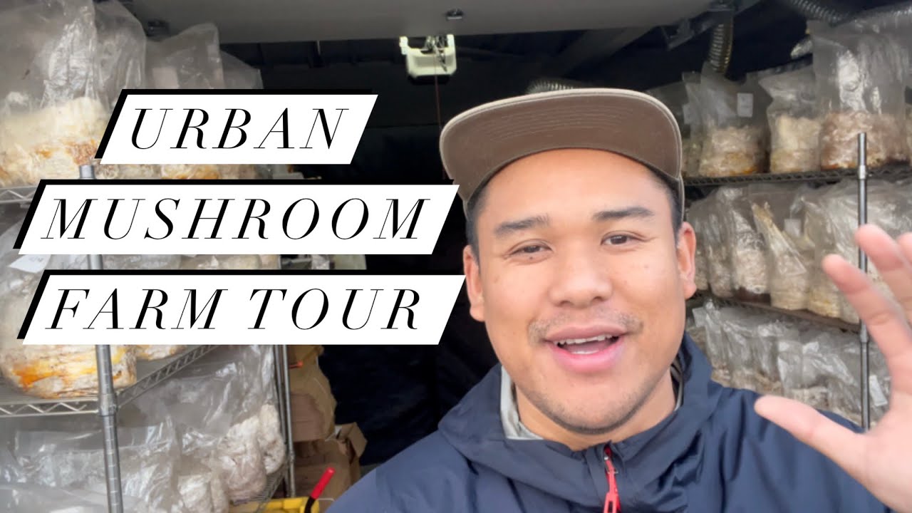 Tour our urban mushroom farm