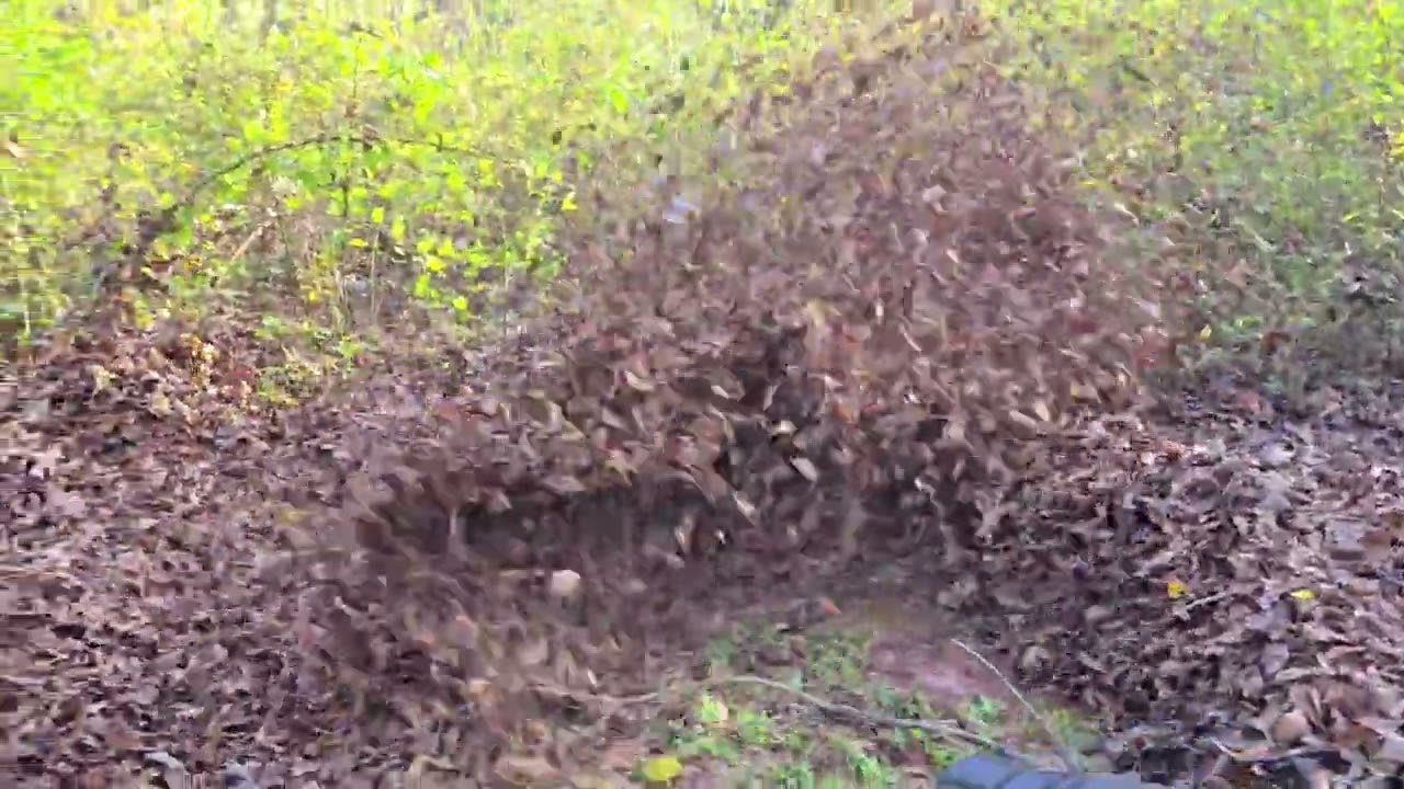 Can the Stihl br700 move a mountain of leaves?  Does a bear shit in the woods!?