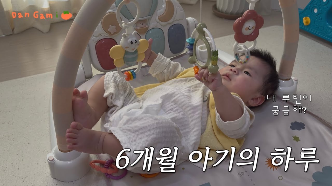 6개월 아기의 하루 루틴 압축 👶🏻 낮잠 세 번 이유식 한 번 (이유식 잘 먹는 아기, 수면 교육?)