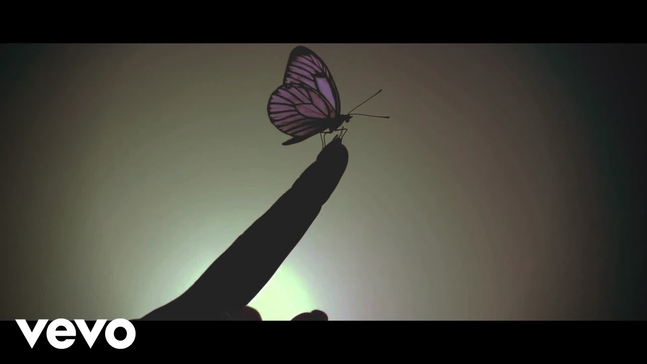 Patrick Magaña - Mariposas eléctricas