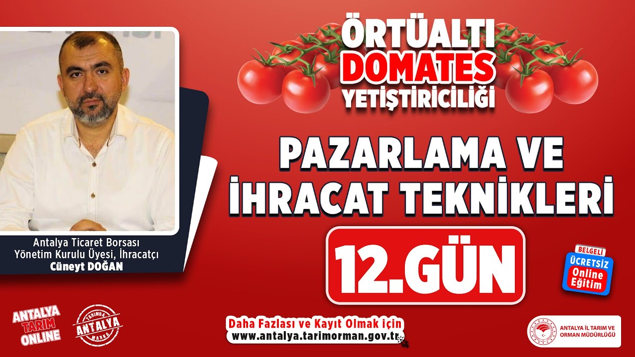 Örtüaltı Domates - Pazarlama ve İhracat Teknikleri 12.Gün