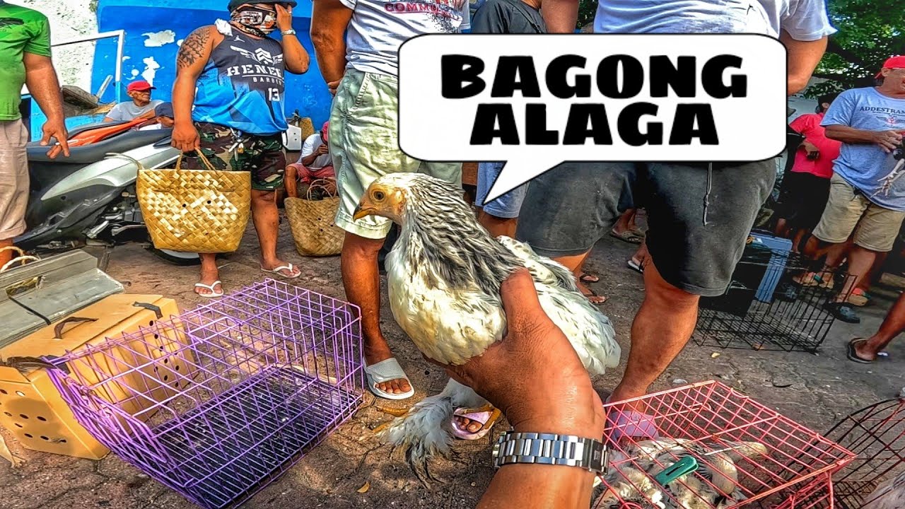 EKSENA SA MALABON MAY 17, 2025 | PET TIANGGE