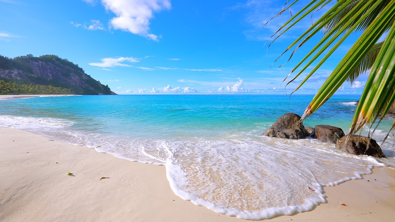 🏝 Seychelles Beach. Turquoise Water, White Sand and Ocean Sounds