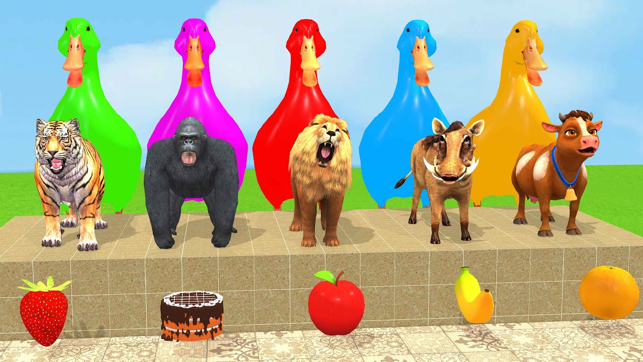 Long Slide Game With Cow Elephant Gorilla Hippopotamus Tiger 3d Animal Game Funny 3d Animals