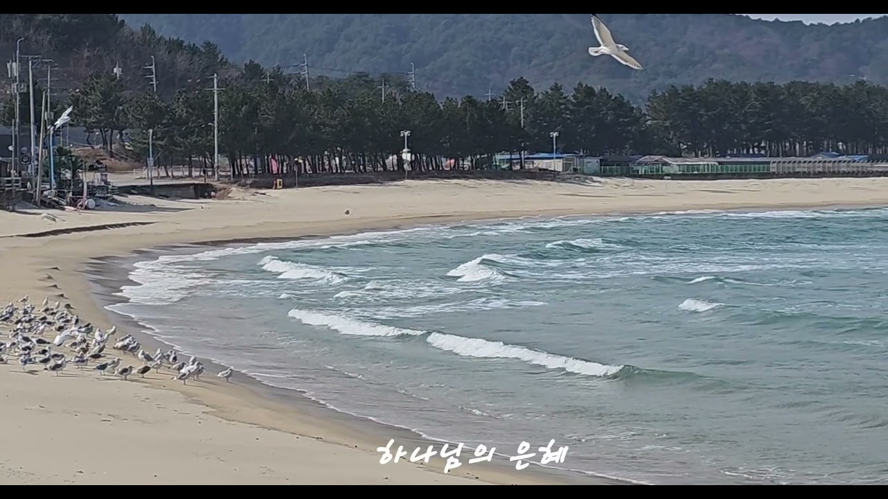 하나님의 은혜 (복음성가)#알토색소폰연주 #문라이프 #동해안 