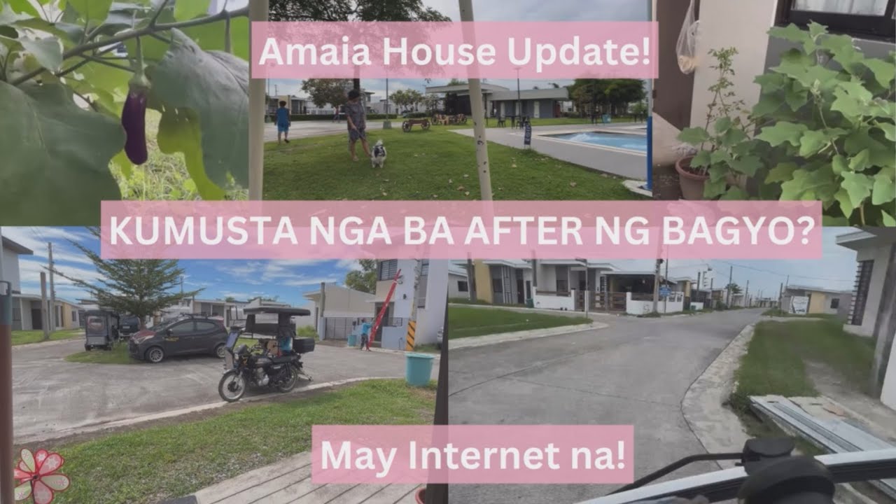 Amaia Scapes Pampanga Bungalow Pod Update! | Long overdue update | BINAGYO? | Daming halamaaaaan!